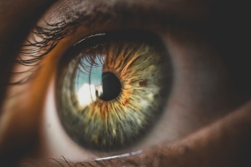 Rätt tandläkare för tänderna och bra optik för synen